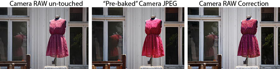 Dress Photoshop Adobe Camera Raw v.s. JPEG Correction